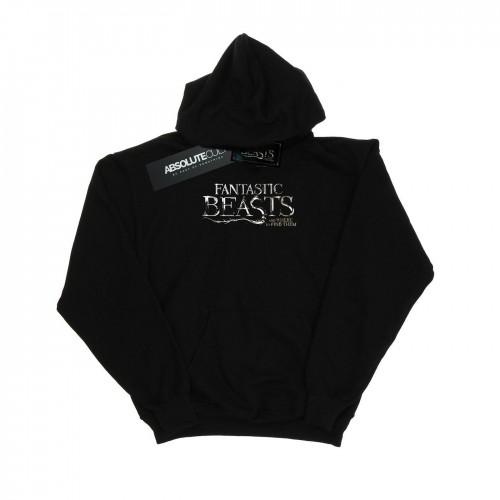 Pertemba FR - Apparel Fantastic Beasts jongens tekstlogo hoodie