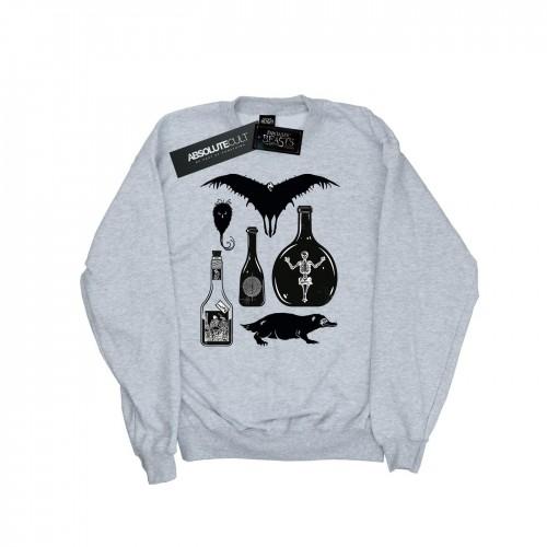 Pertemba FR - Apparel Fantastic Beasts meisjes sweatshirt met effen iconen