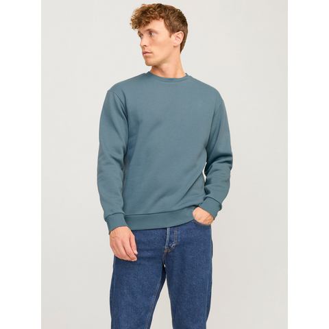 Jack & Jones Sweatshirt JJEBRADLEY SWEAT CREW NOOS