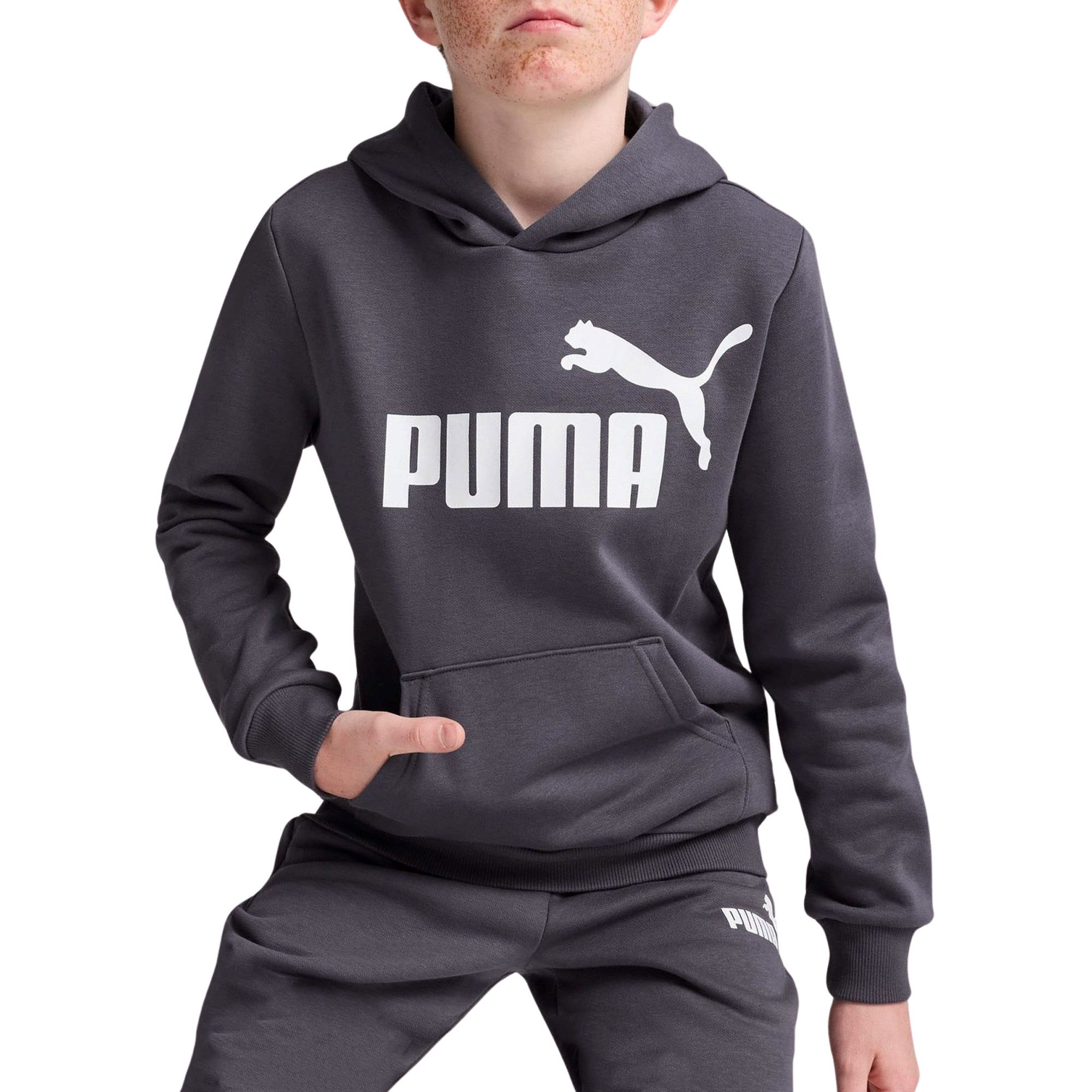 Puma Essential Hoodie Junior