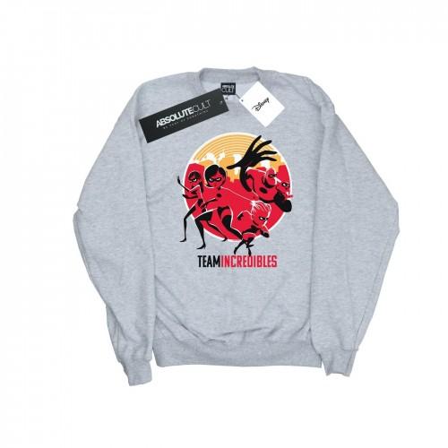 Disney Incredibles 2 Team Incredibles-sweatshirt voor heren