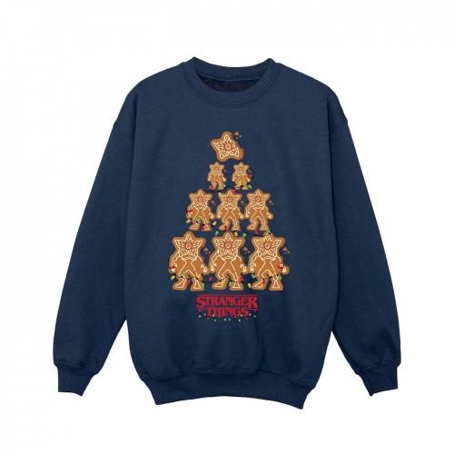 Pertemba FR - Apparel Netflix Girls Stranger Things peperkoeksweater