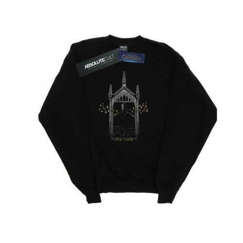 Pertemba FR - Apparel Fantastic Beasts jongens kies een kant sweatshirt