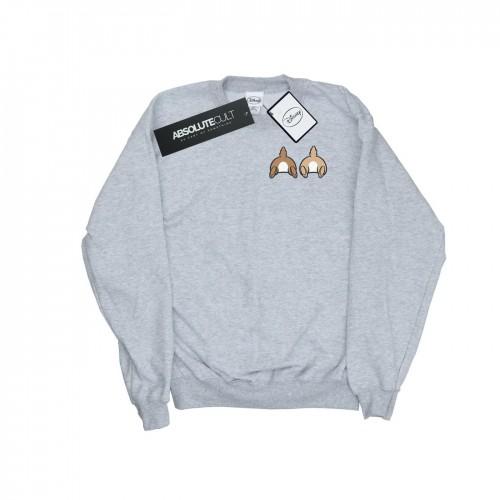 Disney Heren Chip N Dale Sweatshirt met print op de achterkant van de borst