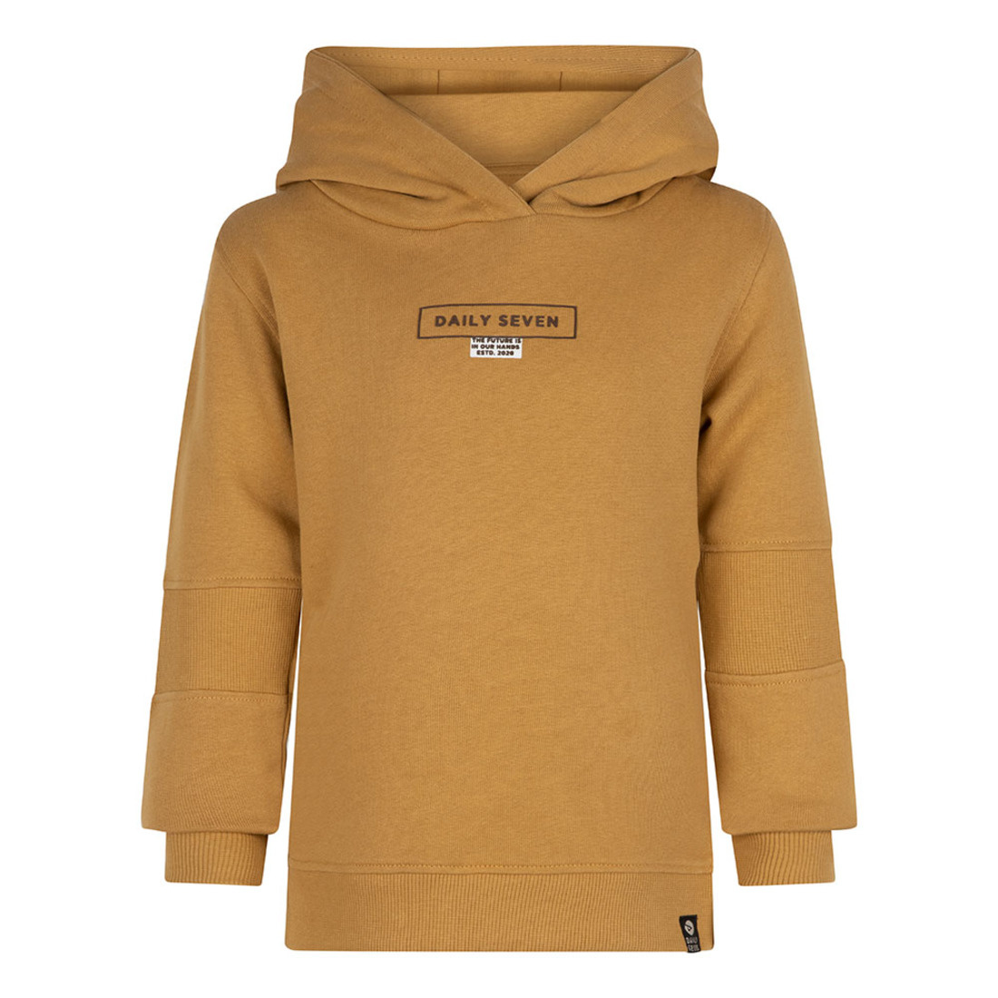 DAILY 7 Jongens hoodie d7 dusty