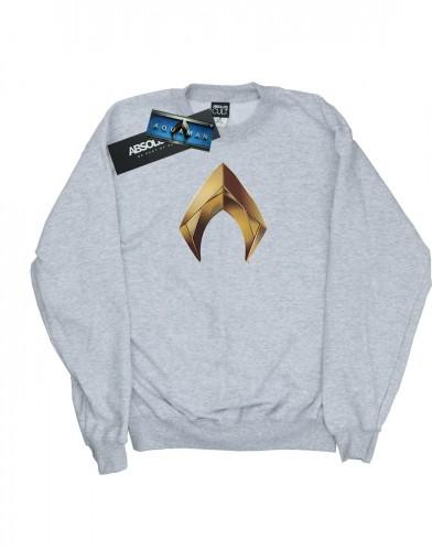 DC Comics jongens Aquaman embleem sweatshirt