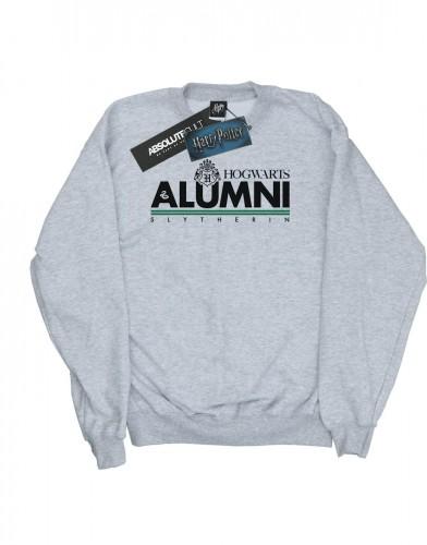 Harry Potter jongens Zweinstein Alumni Zwadderich Sweatshirt