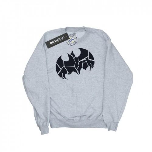 DC Comics Boys Batman One Colour Shield Sweatshirt