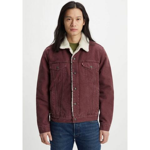 Levi's Kort jack Sherpa met sherpa voering