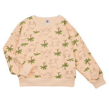 Petit Bateau Sweater  FLOT