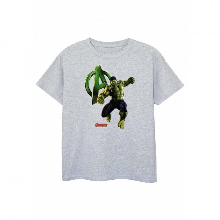 Hulk jongens poseren T-shirt