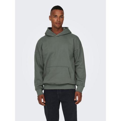 ONLY & SONS Hoodie ONSDAN LIFE RLX HEAVY SWEAT HOODIE NOOS