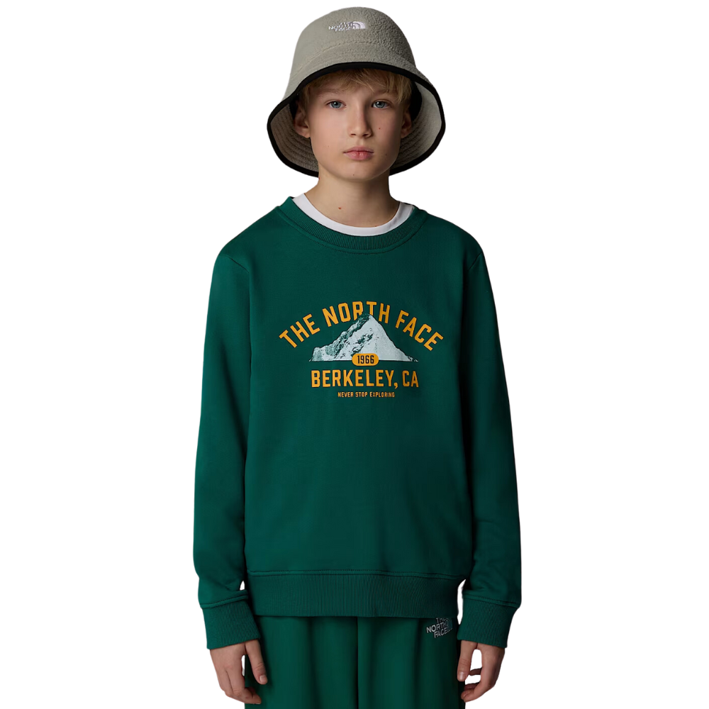 The north face Kids Varsity Graphic Relaxed Sweatshirt Evergreen