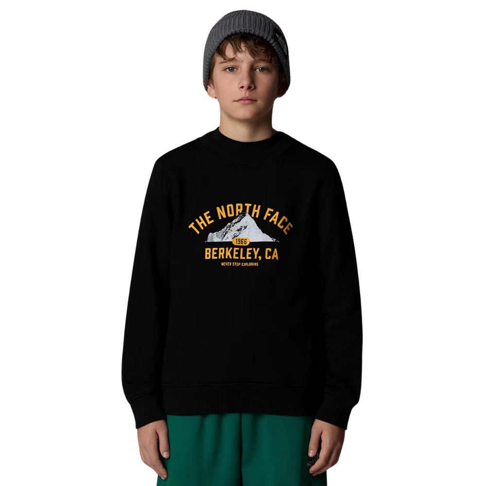 The north face Kids Varsity Graphic Relaxed Sweatshirt TNF Black