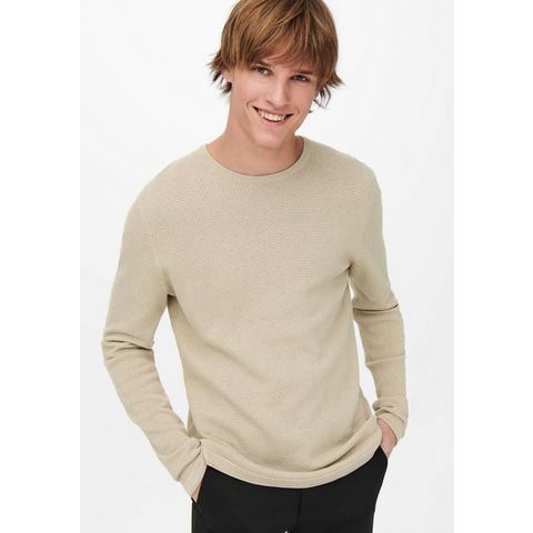 ONLY & SONS Trui met ronde hals PANTER 12 STRUC CREW NECK KNIT