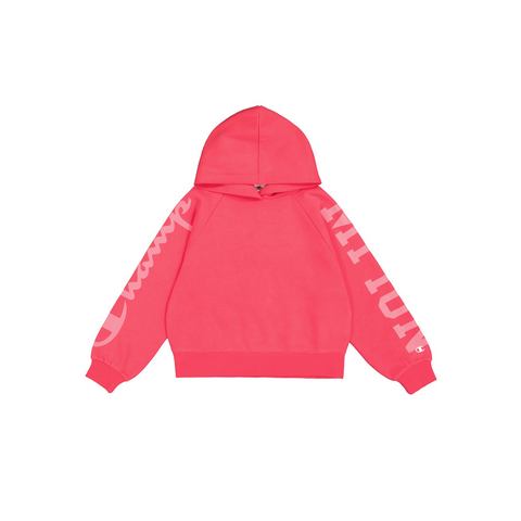 Champion Hoodie HOODED sweatshirt