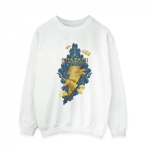 DC Comics Heren Shazam Fury Of The Gods Golden Animal Bolt Sweatshirt