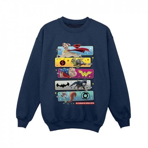 DC Comics Boys DC League Of Super-Pets Character Pose Sweatshirt