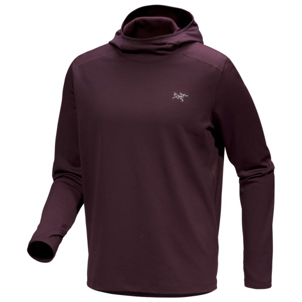 Arcteryx Arc'teryx - Cormac Heavyweight Hoody - Hoodie, bruin