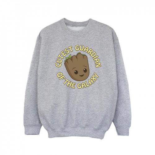 Marvel Girls I Am Groot Leukste Guardian Sweatshirt