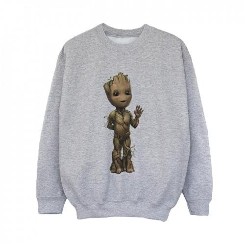 Marvel Boys I Am Groot Wave Pose Sweatshirt