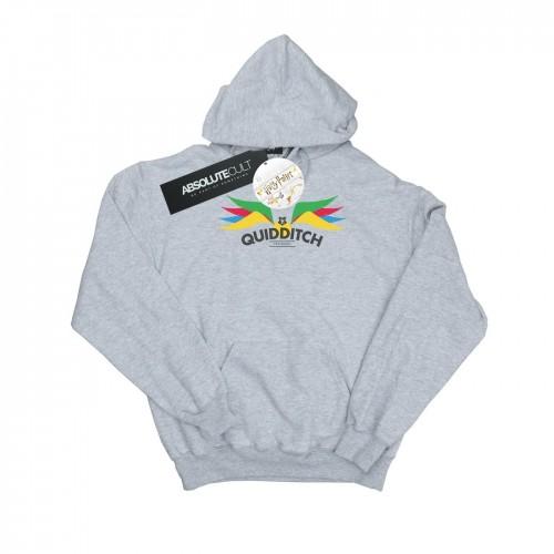 Harry Potter jongens Snitch Wings pastels hoodie