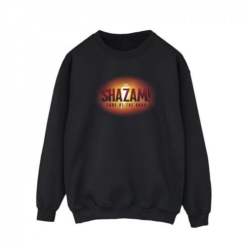 DC Comics Shazam Fury Of The Gods 3D-logo flare-sweatshirt voor heren