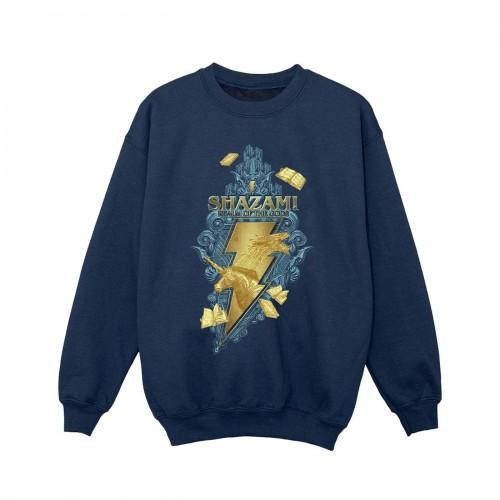 DC Comics Girls Shazam Fury Of The Gods Golden Animal Bolt Sweatshirt