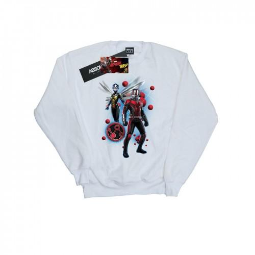 Marvel Ant-Man en de Wasp Particle Pose-sweatshirt voor heren