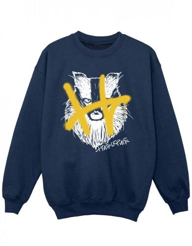 Harry Potter Girls Huffelpuf Pop Spray Sweatshirt