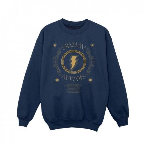 DC Comics Girls Shazam Fury Of The Gods gouden spiraalborstsweater