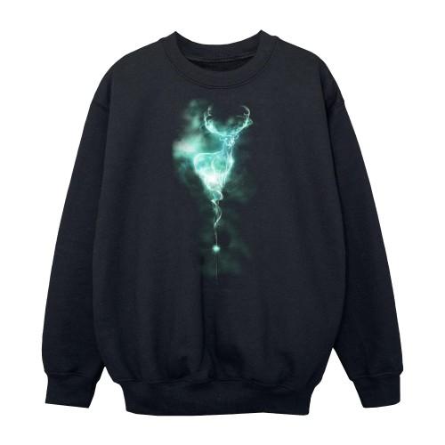 Harry Potter Boys Patronus Mist Stag Sweatshirt