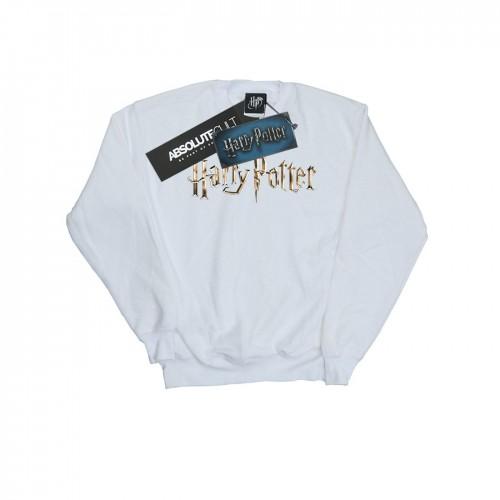 Harry Potter jongens sweatshirt met logo in kleur