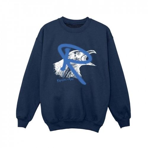 Harry Potter jongens Ravenklauw Pop Spray Sweatshirt