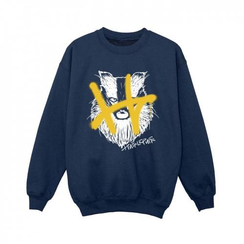 Harry Potter jongens Huffelpuf Pop Spray Sweatshirt