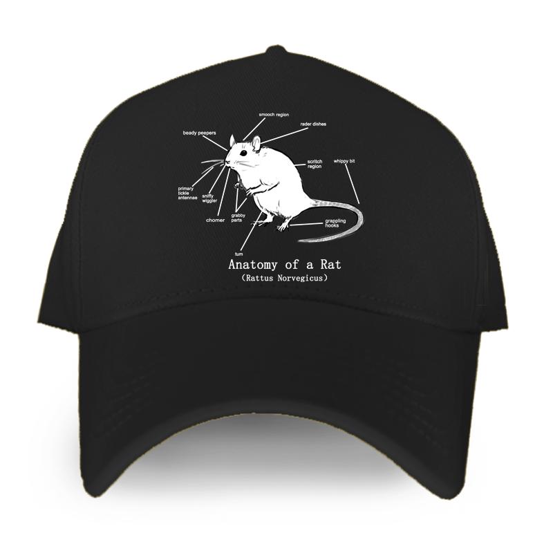 91530102MAC2AA7079 Anatomie van een rat - (Bruine rat) Unisexs Hot Summer Baseball Cap Grappige Unisex Dames Caps Mode Hip Hop Hoed