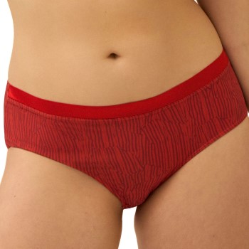 NATURANA The Wednesday Full Brief