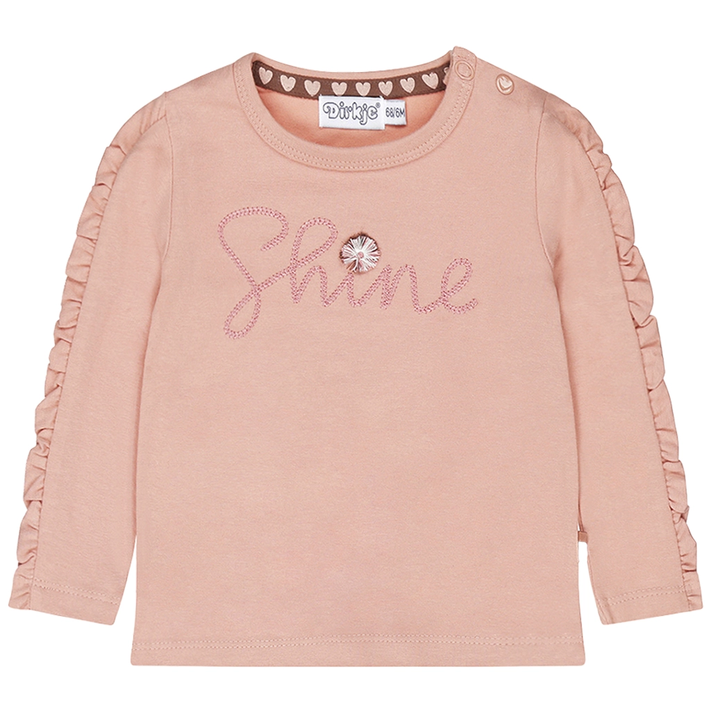 Dirkje-collectie Longsleeve Shine (dusty pink)