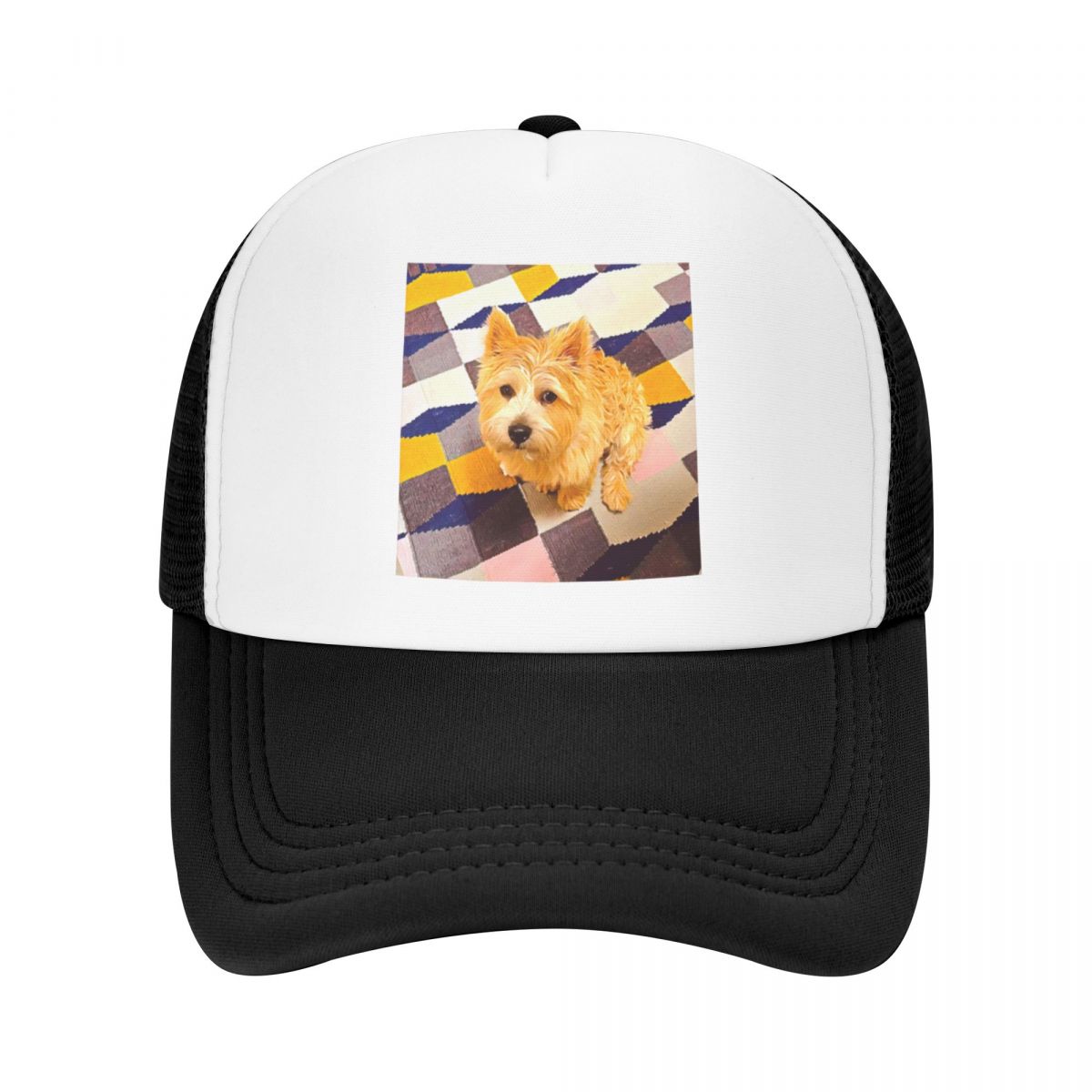 91341621MA8PN0GT9W Norwich Terrier Puppy Dog Baseball Cap Bobble Hat zonnehoed verjaardag Uv-bescherming Solar Hat Hat Dames Heren