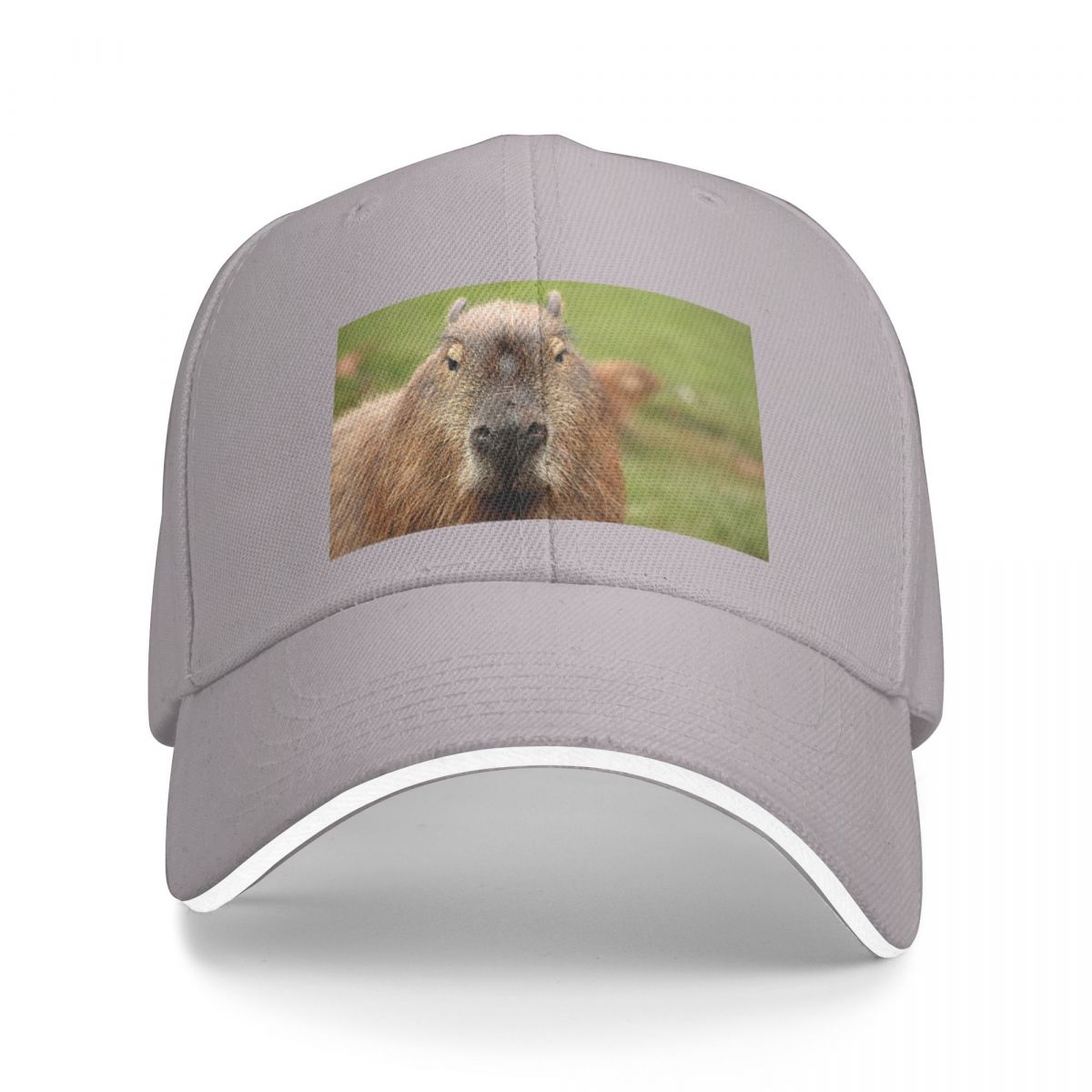 91140109MA0LUDA177 Nieuw portret van een nogal knappe capibara Cap Baseball Cap Mode strandhoed voor meisjes Unisex's