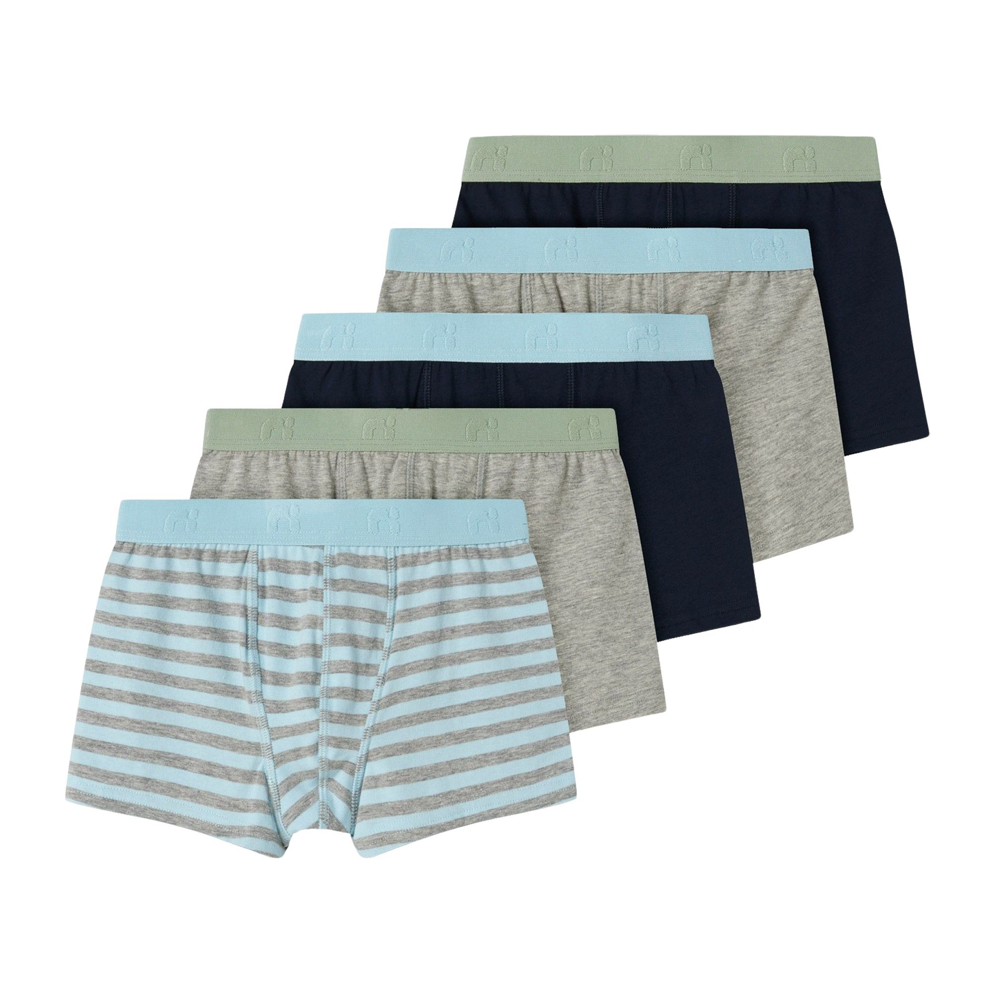 Name It Aquamarine Boxershorts Junior (5-pack)