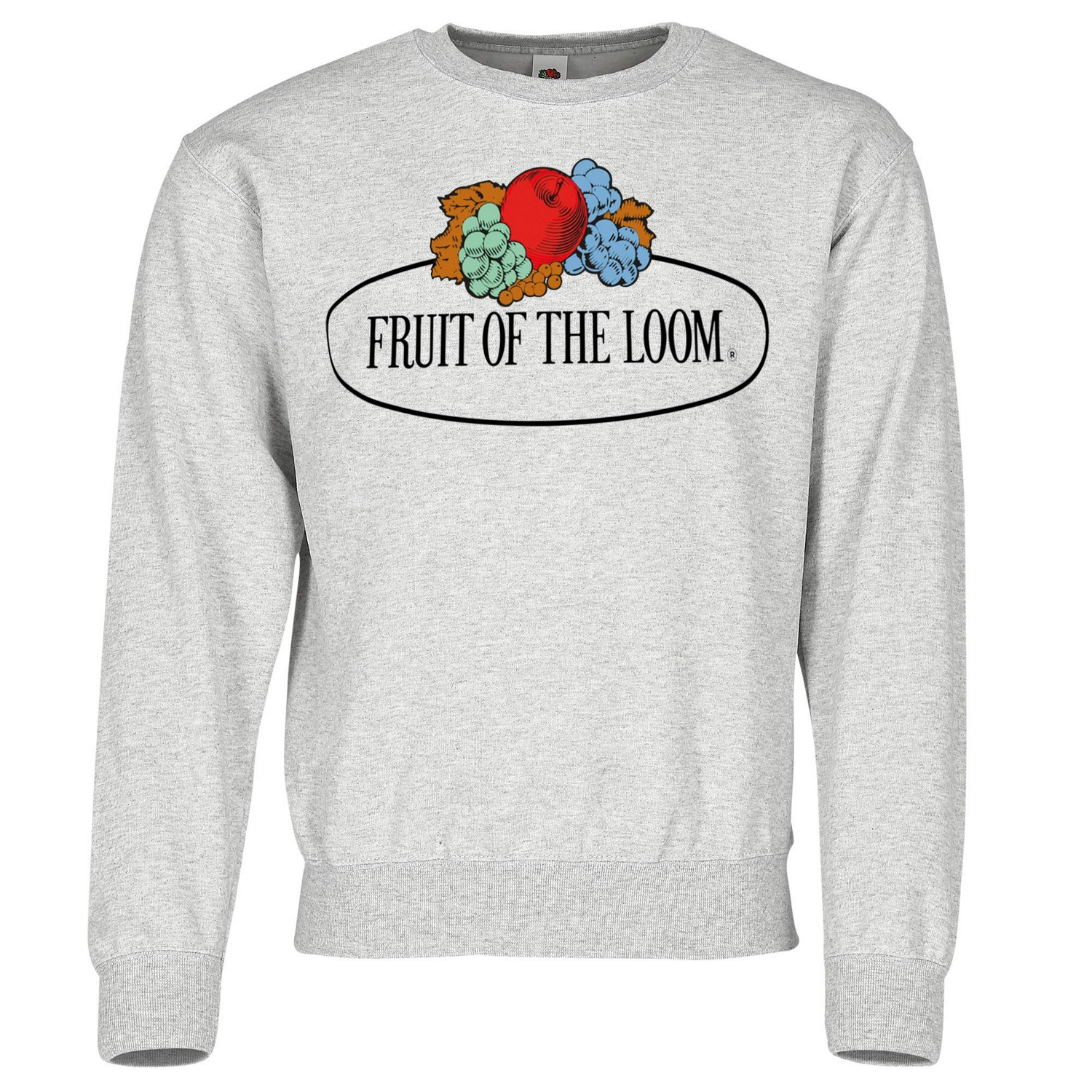 Fruit of the Loom Heren vintage sweatshirt met logoprint