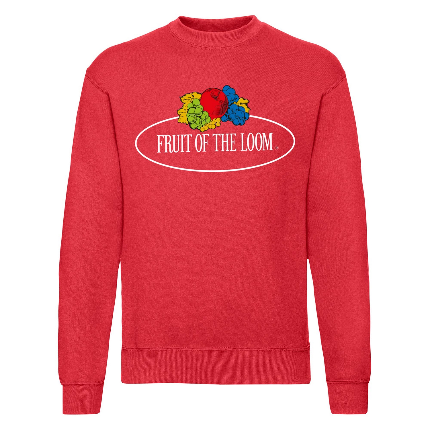 Fruit of the Loom Heren vintage sweatshirt met logoprint