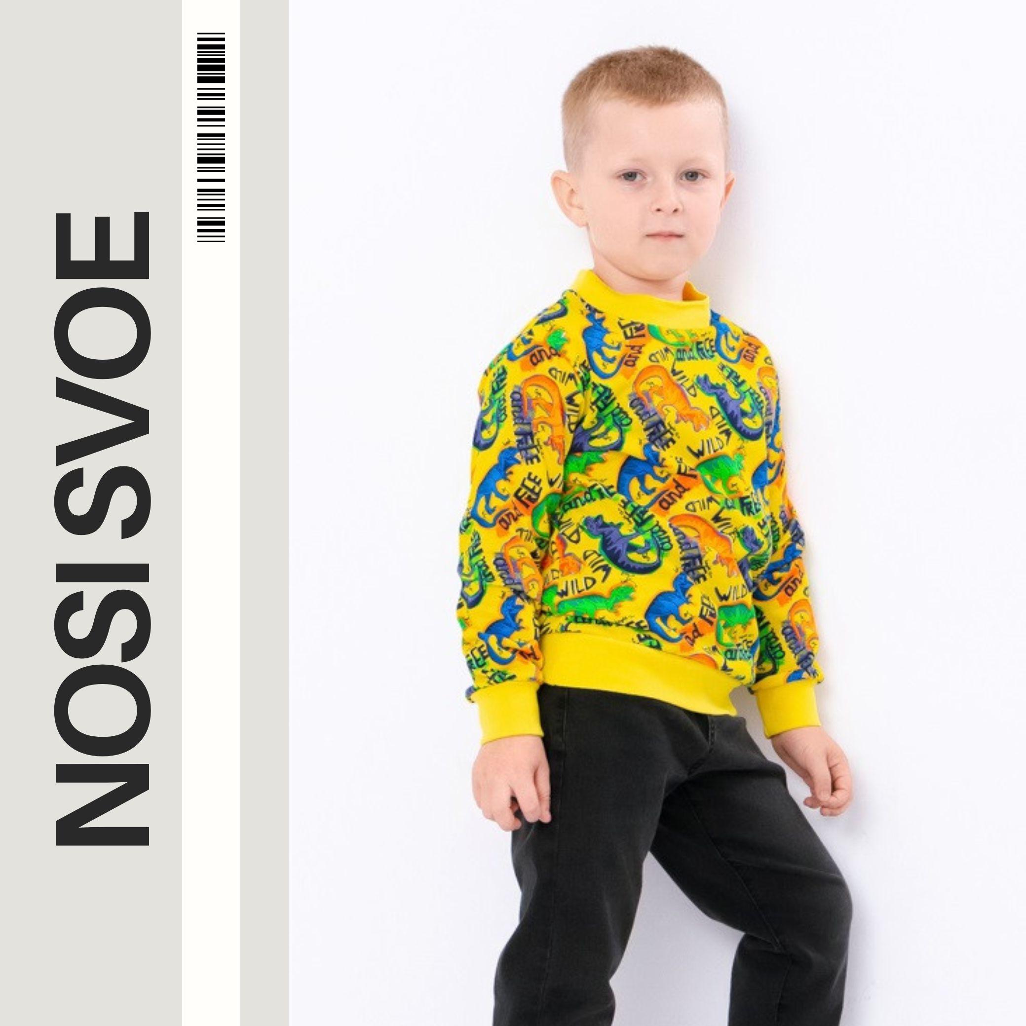 НС Sweatshirt (boys), Demi-season, Nosi svoe 6069-024-4 110 barnsteen