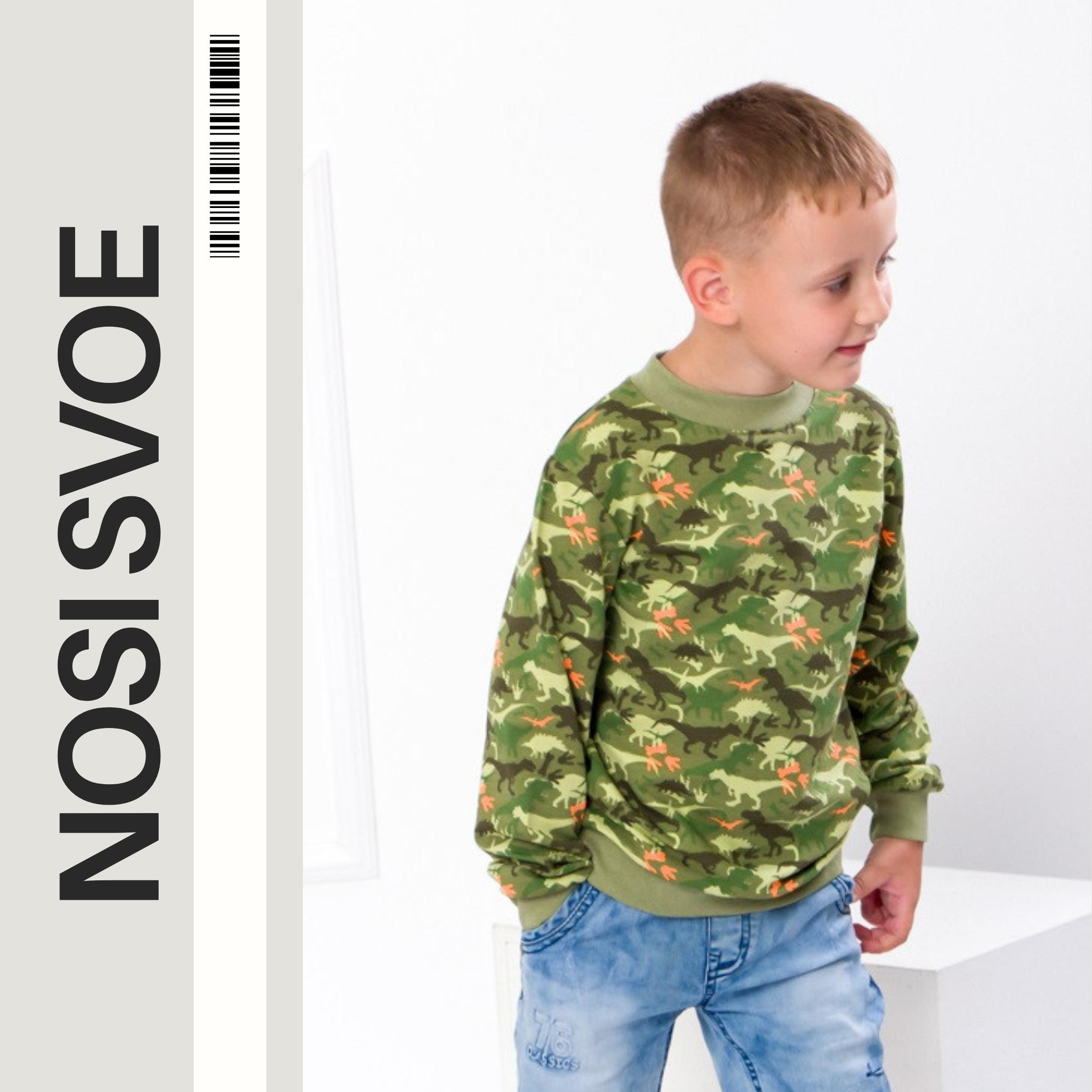 НС Sweatshirt (boys) , Any season , Nosi svoe 6069-055-4 92 pistachekleur