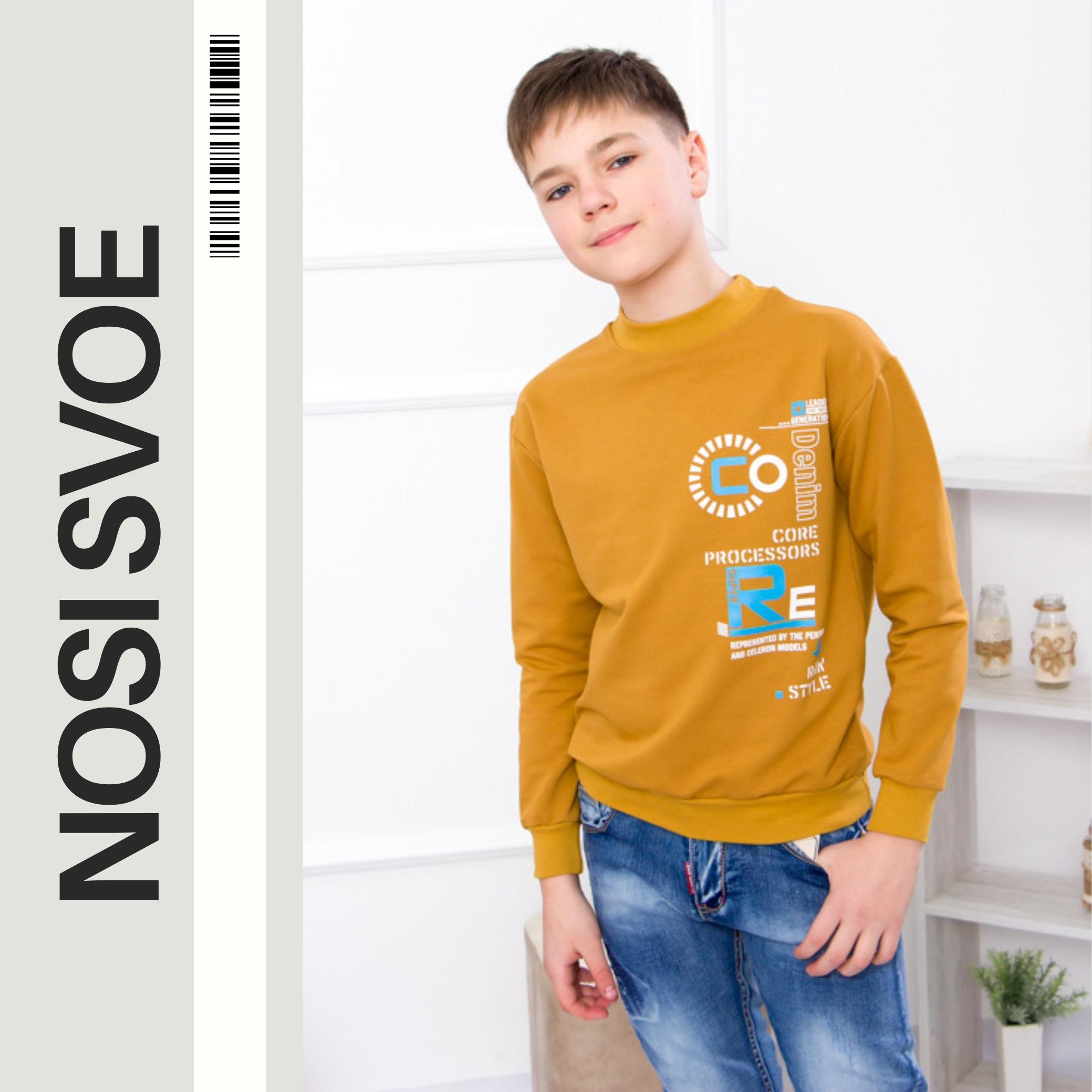 НС Sweatshirt (boys) Any season 6235-057-33 HC 122 nude