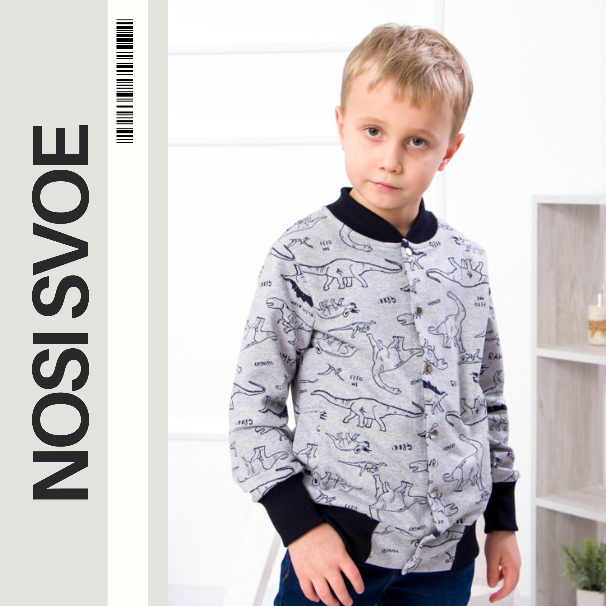 НС Sweatshirt (boys) , Any season , Nosi svoe 6029-055-4-1 140 sepia kleur