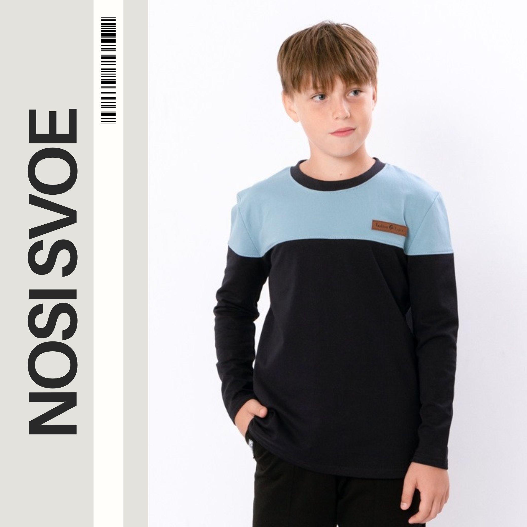 НС Sweatshirt (boys) , Any season , Nosi svoe 6387-057 122 barnsteen