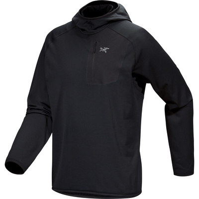 Arcteryx Heren Delta Hoodie