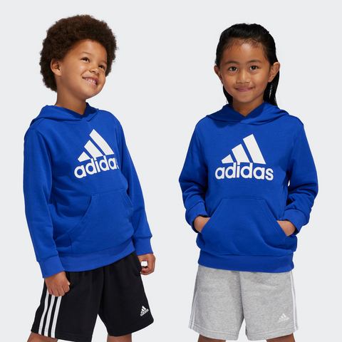 Adidas Sportswear Hoodie LK BL FT HD